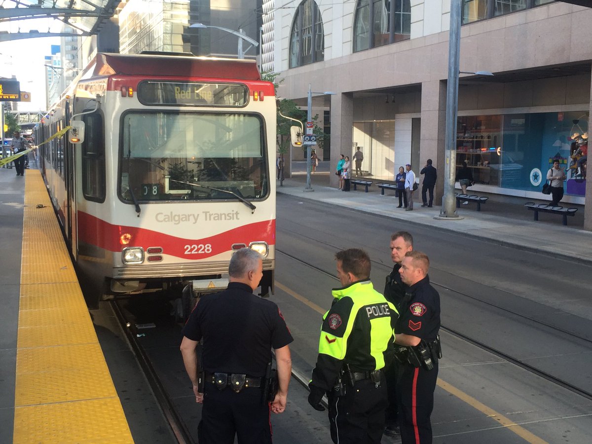 Featured image for “Calgary v. Reicher”