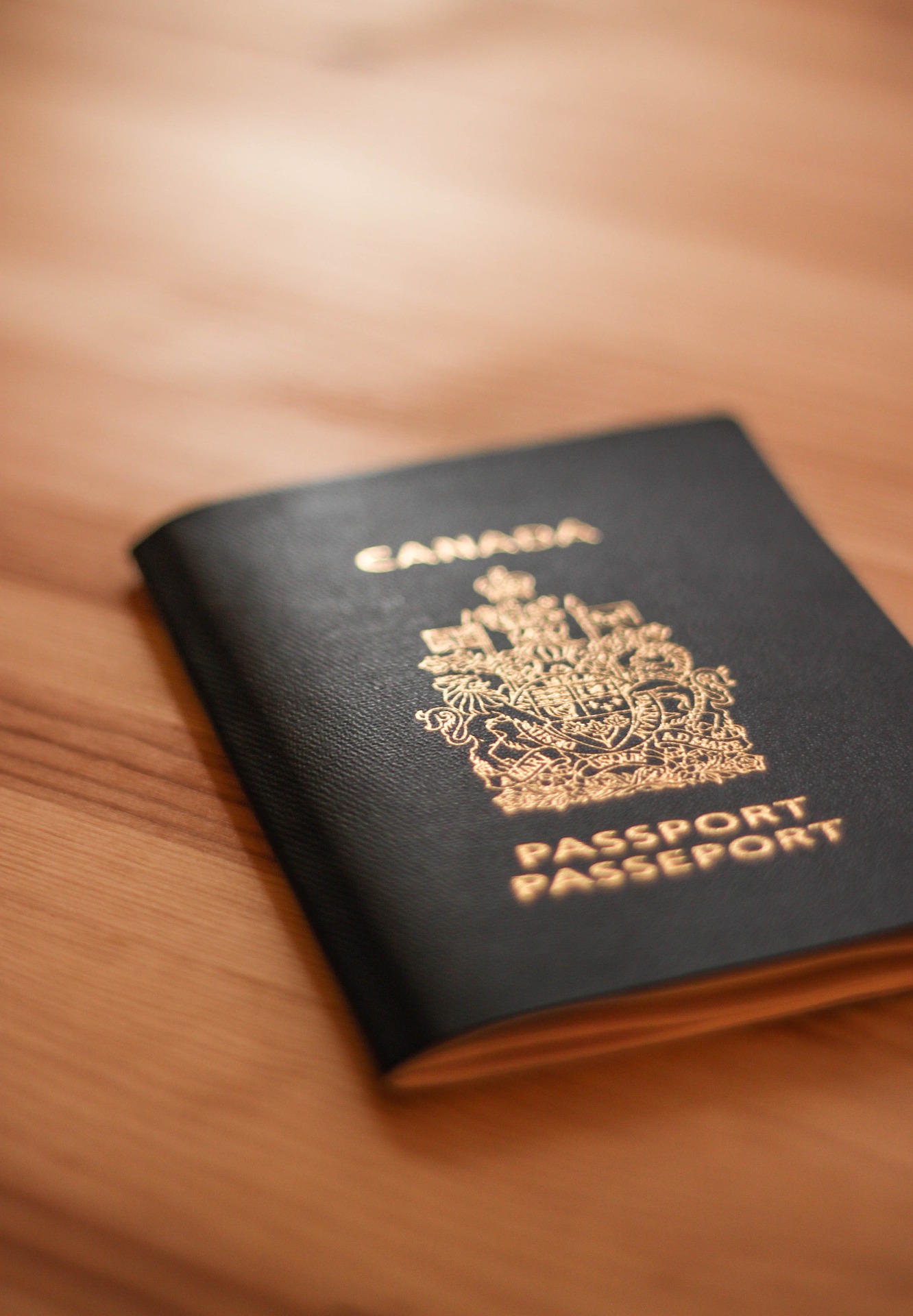 Image sélectionnée pour "Baker et. Al. c. Canada (Passeports) »