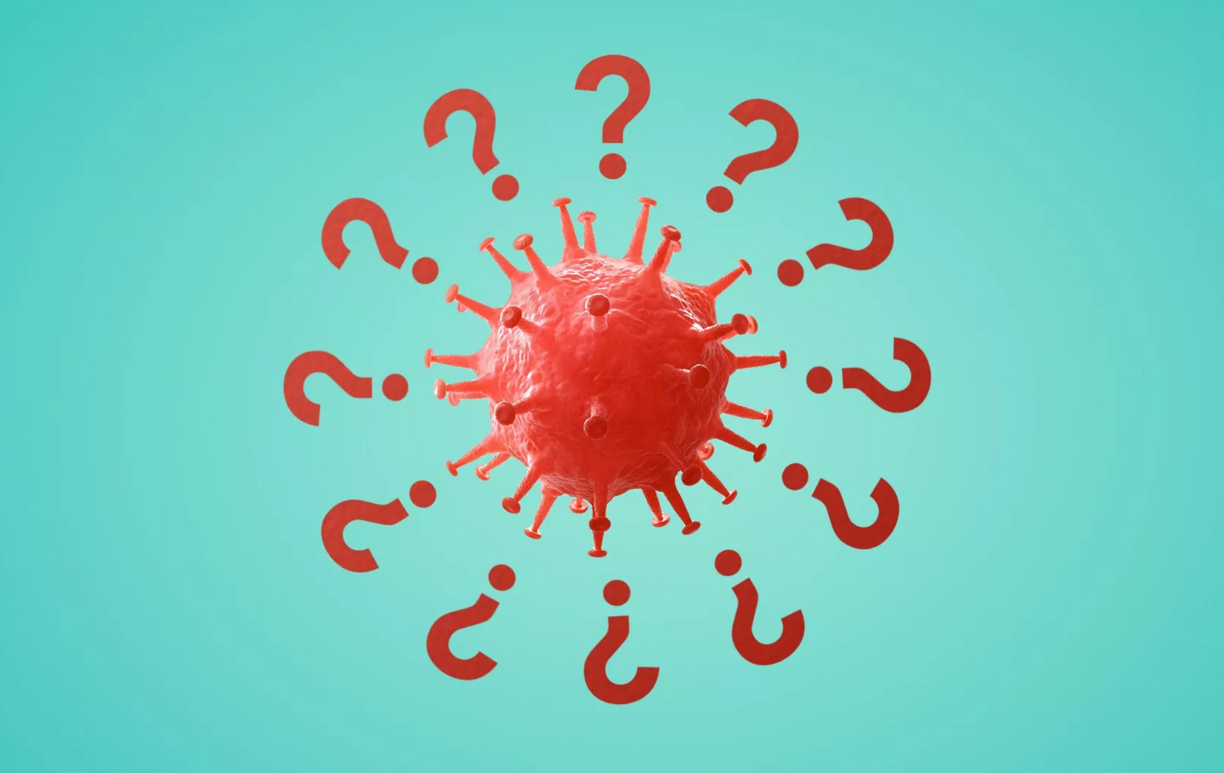 вирусные вопросы