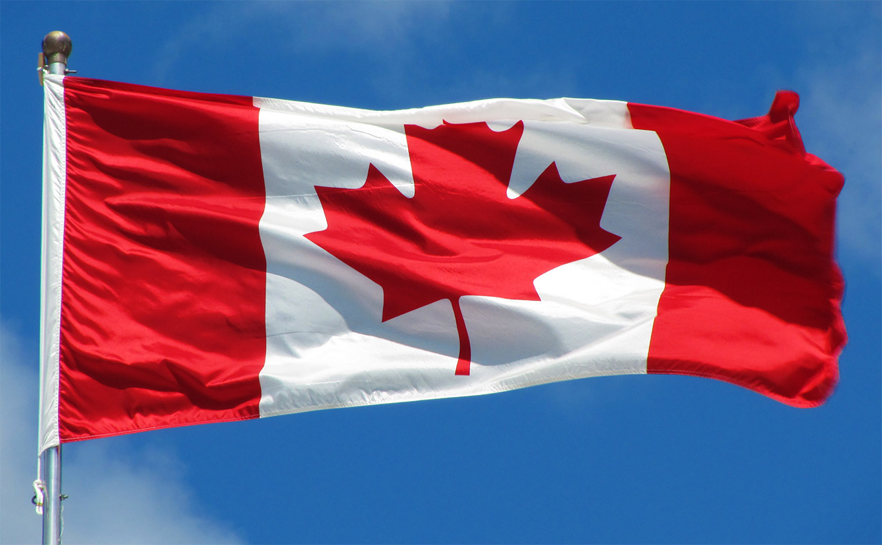 Featured image for “David vs. Canada”