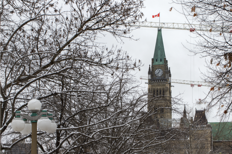 Crown appeal against peaceful protestor Evan Blackman in court today