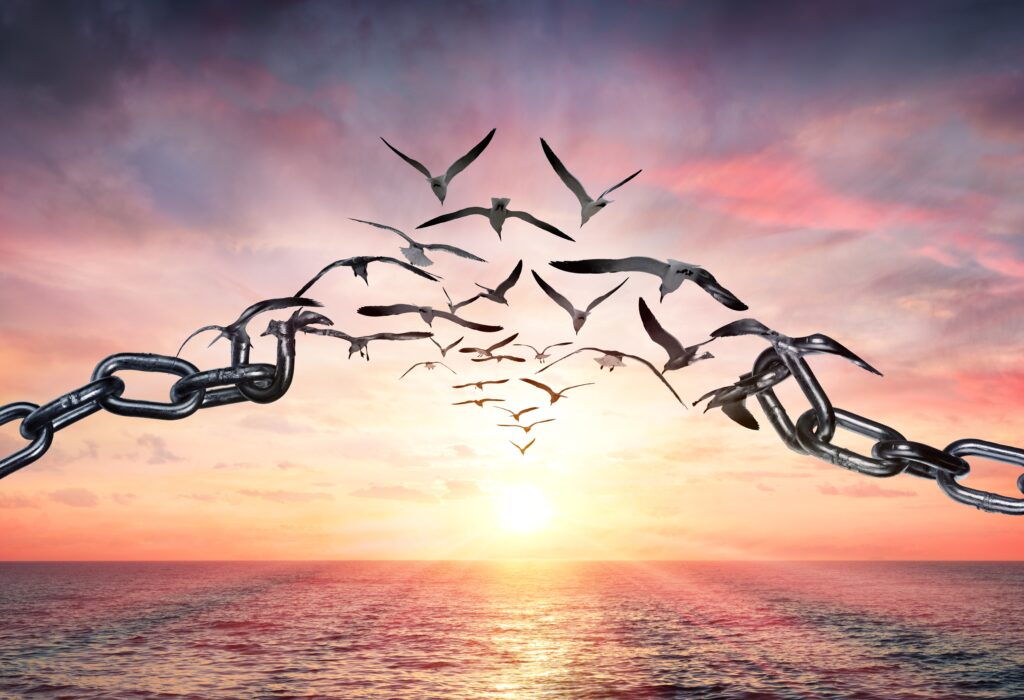 Wings of Freedom (Courtesy Romolo Tavani)