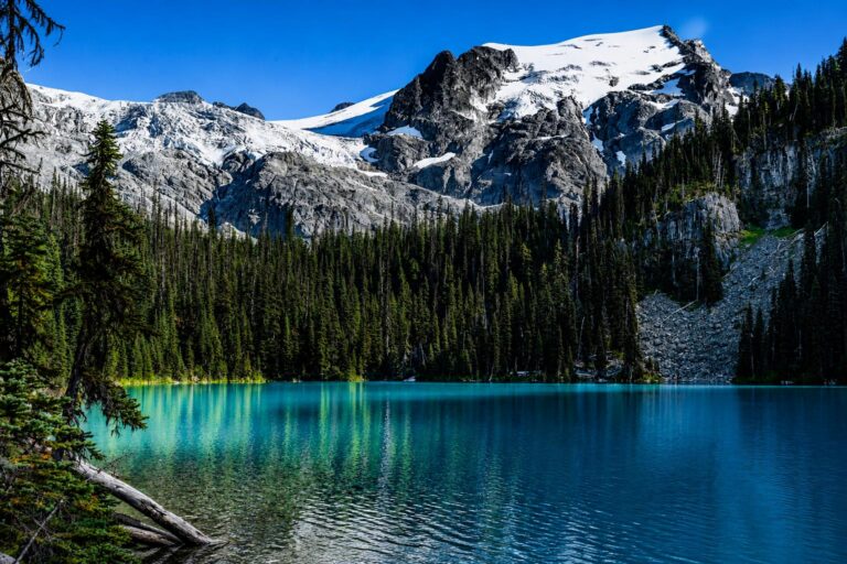 Joffre Lakes Park (Courtesy of Daniel Avram)